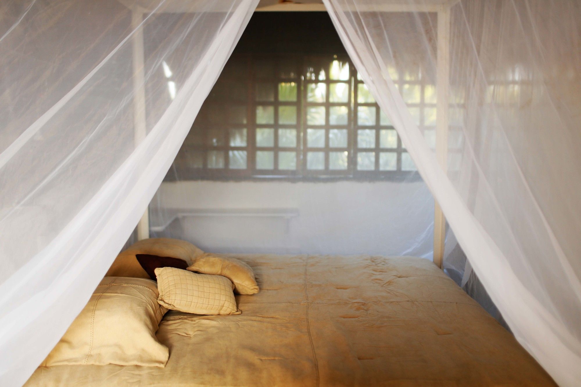 툴룸 Casa Selva De Luz 아파트 외부 사진
